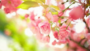 Kosmetikstudio Darmstadt