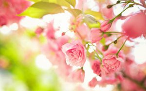 Kostetikstudio-Darmstadt